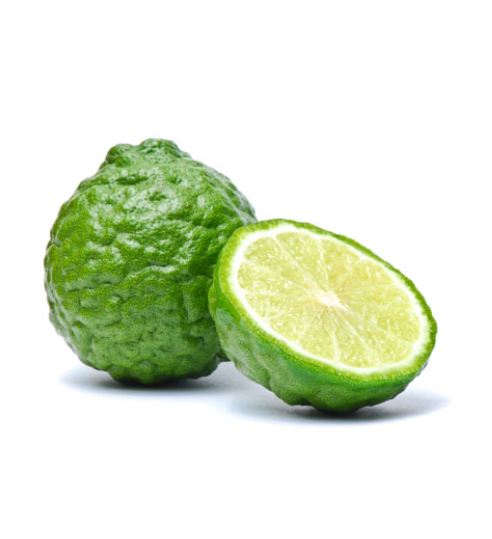 Bergamot Aroma Natural de Bergamota - Imagem 2