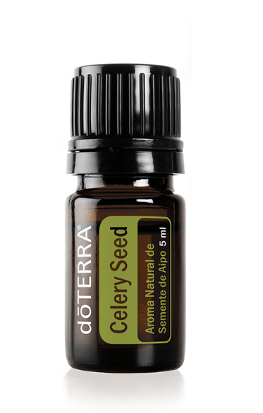 Celery Seed - Aroma Natural de Semente de Aipo