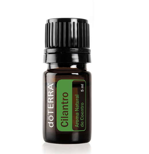 Cilantro - Aroma Natural de Coentro