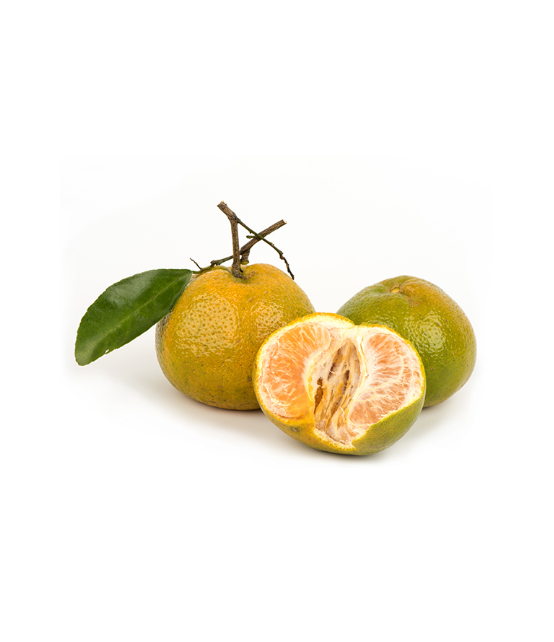 Green Mandarin - Aroma Natural de Mandarina-verde - Imagem 2