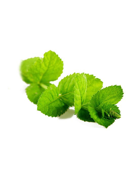 Peppermint Óleo Essencial - Mentha Piperita (Hortelã-pimenta) - Imagem 2