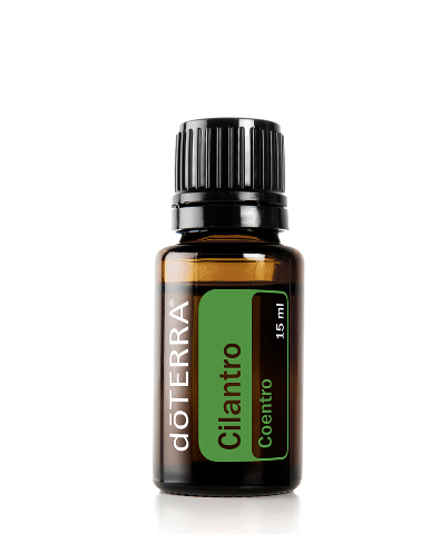 Cilantro Óleo Essencial Coriandrum sativum (Coentro)