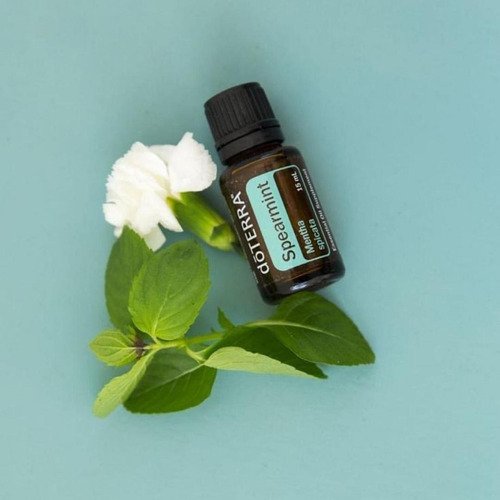 Spearmint Óleo Essencial Mentha spicata (Hortelã-verde) - Imagem 2