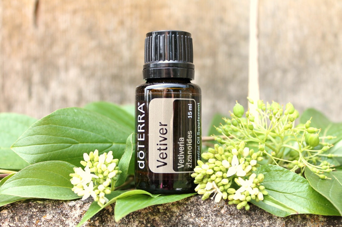 Vetiver Aroma Natural de Vetiver - Imagem 3