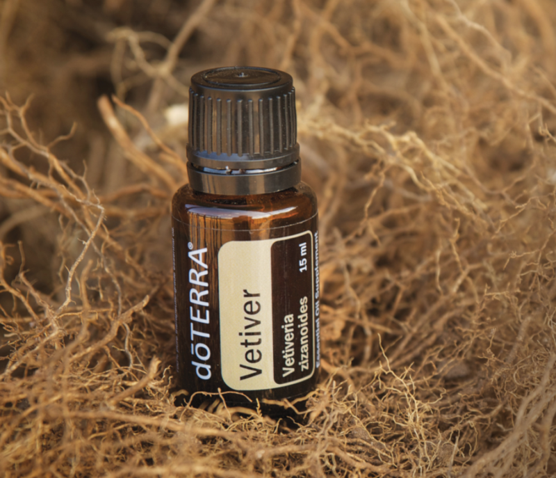 Vetiver Aroma Natural de Vetiver - Imagem 2